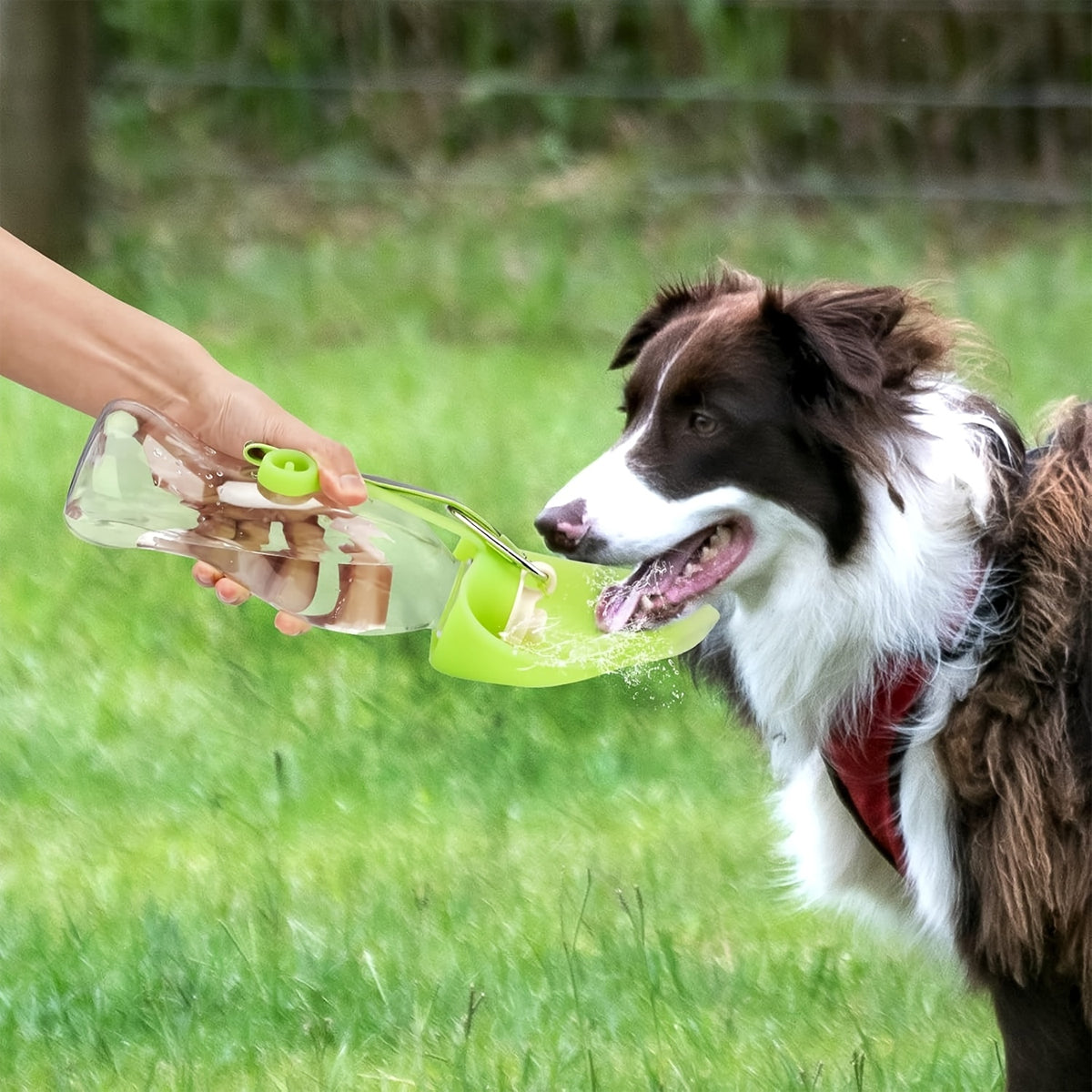 580ml Portable Pet Water Bottle - Leak-Proof, Foldable Silicone Leaf, BPA-Free - SuperSaverAU - view 4