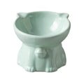 Premium Raised Ceramic Cat Bowl – Green 160ml with 15° Tilt