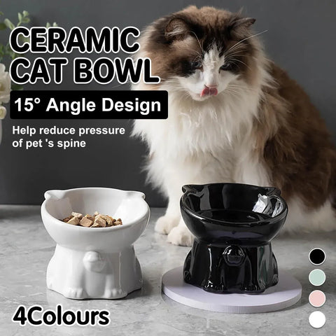 Premium Raised Ceramic Cat Bowl – Green 160ml with 15° Tilt