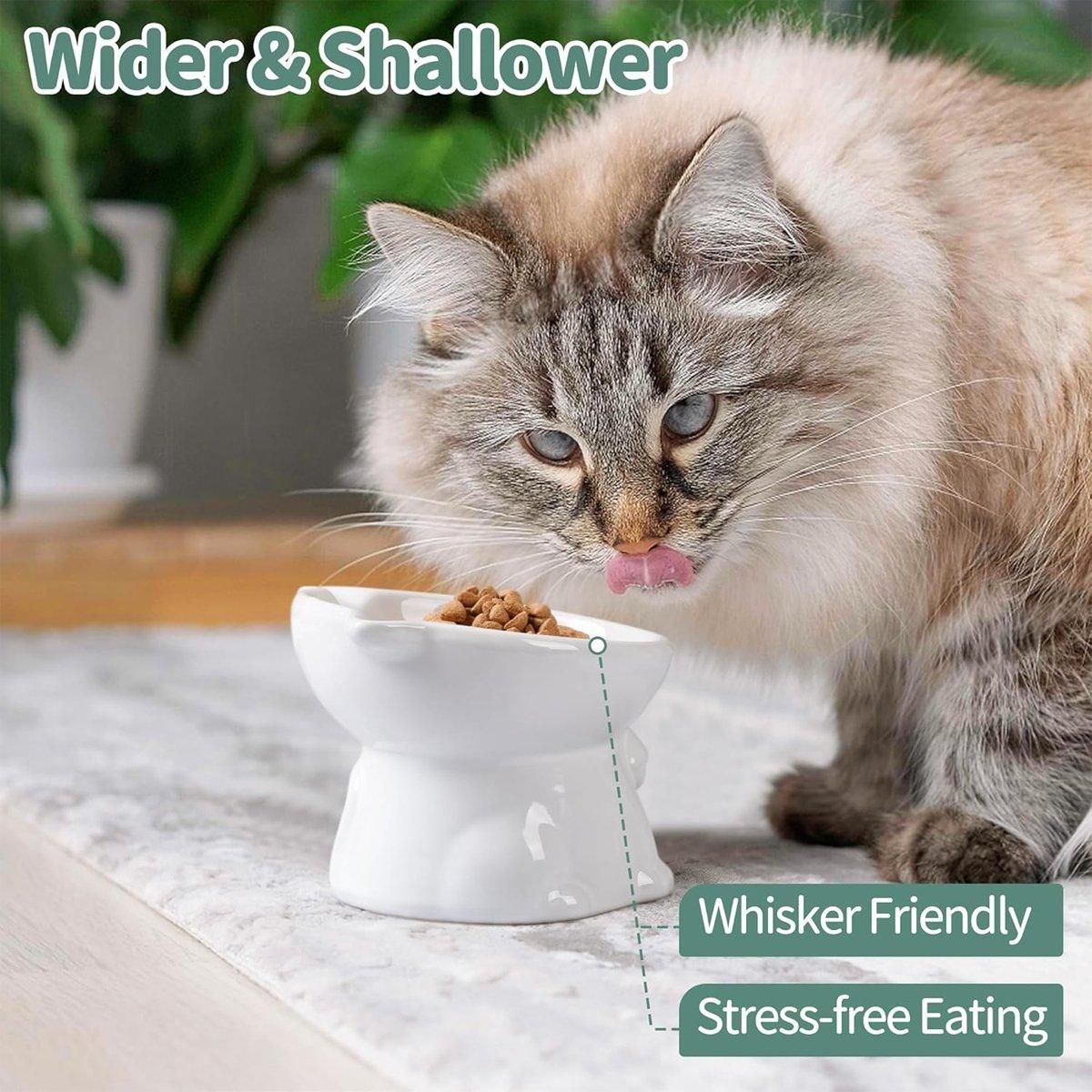 Premium Raised Ceramic Cat Bowl – Green 160ml with 15° Tilt