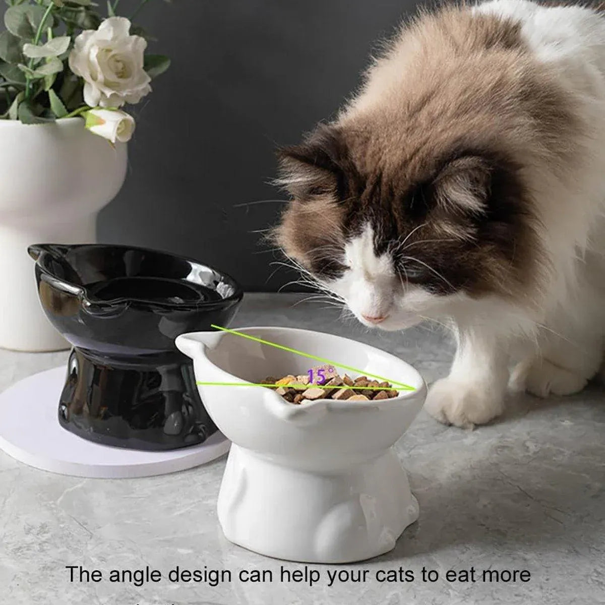 Premium Raised Ceramic Cat Bowl – Green 160ml with 15° Tilt