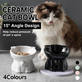 Premium Raised Ceramic Cat Bowl – White 160ml with 15° Tilt