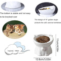 Premium Raised Ceramic Cat Bowl – White 160ml with 15° Tilt