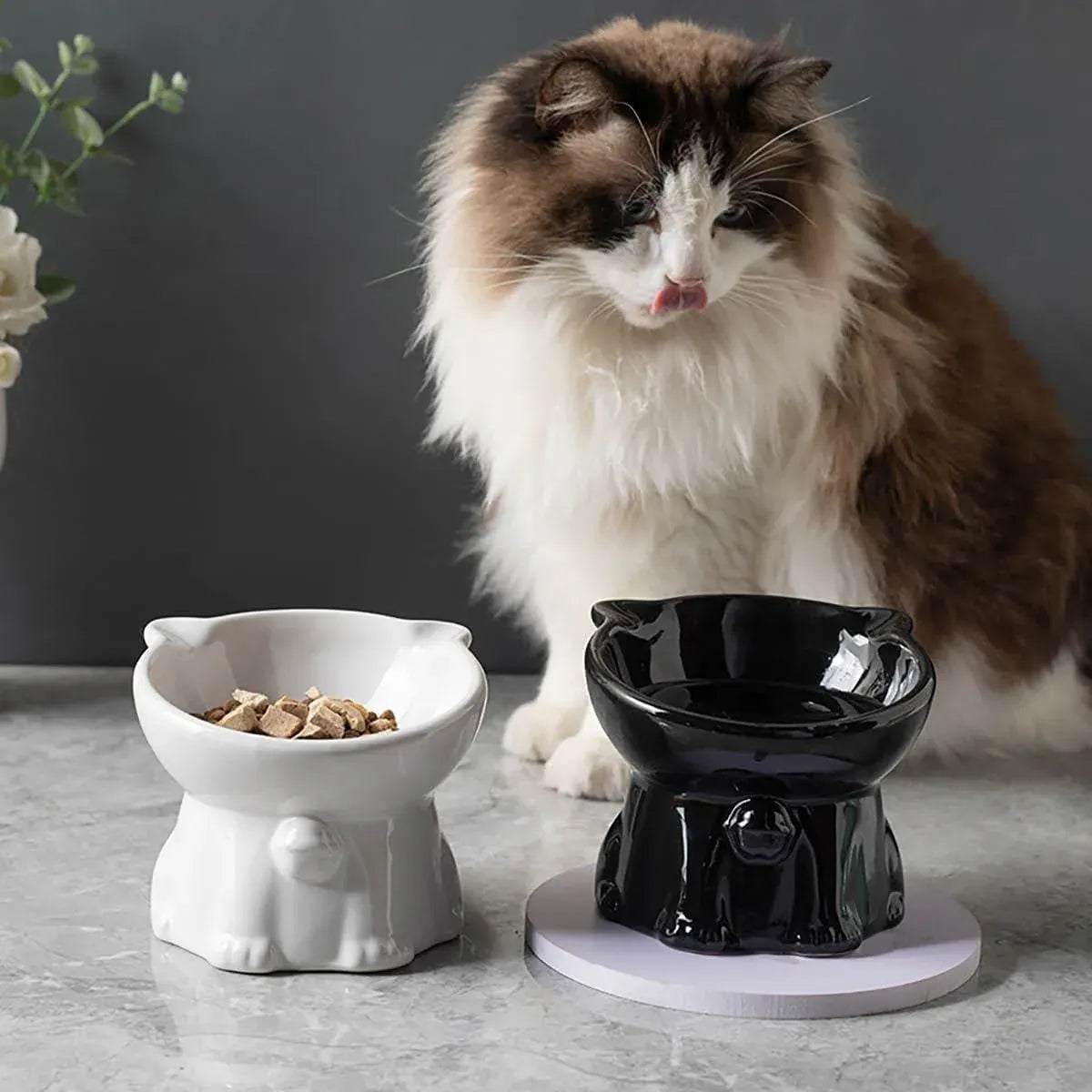 Premium Raised Ceramic Cat Bowl – White 160ml with 15° Tilt