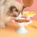 Premium Flower Ceramic Cat Bowl - Blue 150ml