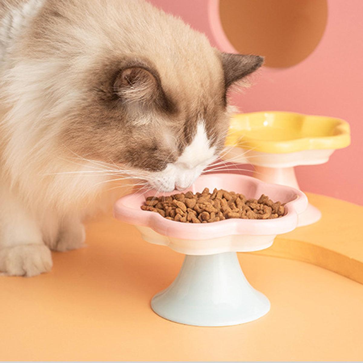 Premium Flower Ceramic Cat Bowl - Blue 150ml