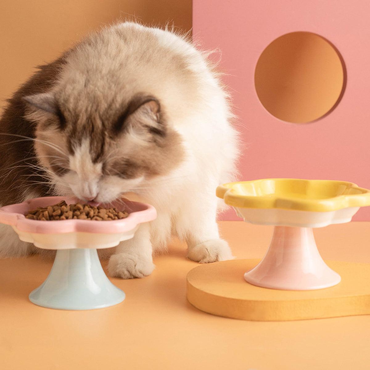 Premium Flower Ceramic Cat Bowl - Blue 150ml