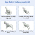 Thin Belly Shirt for Female Dogs - Soft, Breathable, Anti-Cool, Grey - XXL - SuperSaverAU - view 5