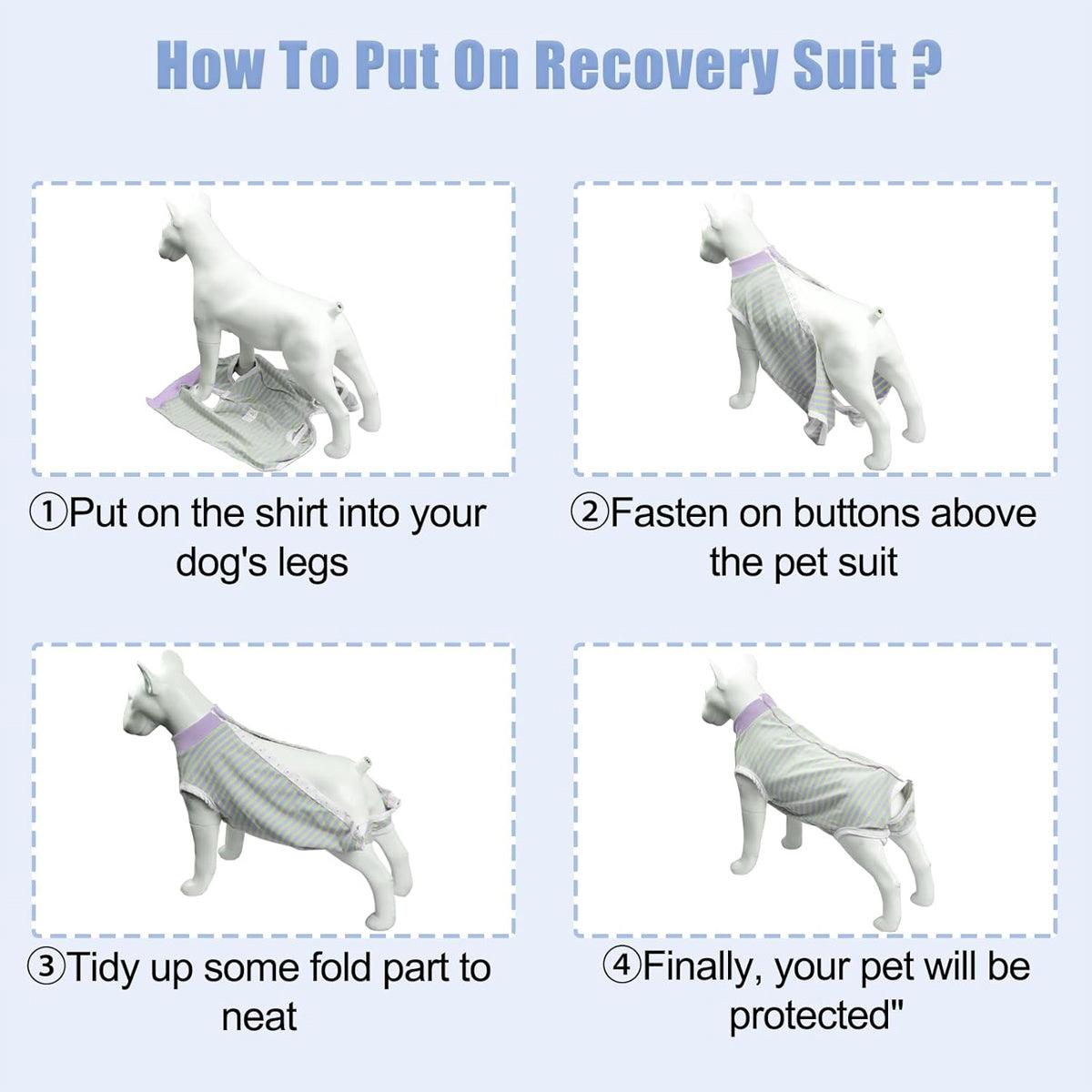 Thin Belly Shirt for Female Dogs - Soft, Breathable, Anti-Cool, Grey - XXL - SuperSaverAU - view 5