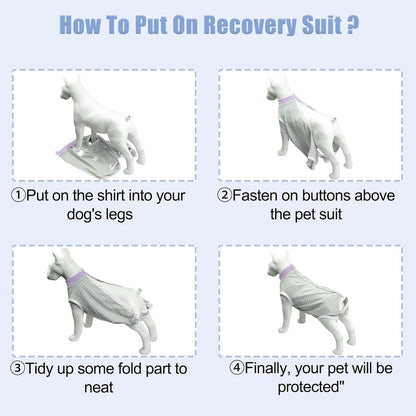 Striped Dog Clothes Belly Protector Vest Tummy Wrap Shirt for Small Dogs Puppies - Grey-XXL