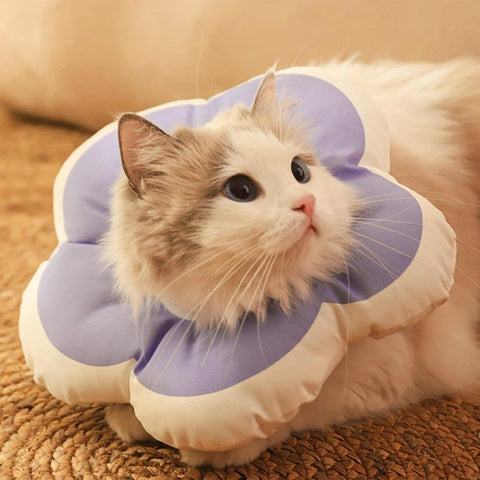Premium Elizabethan Cat Recovery Collar - Purple L