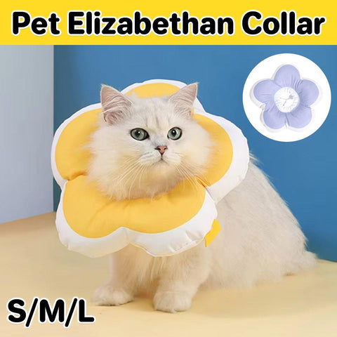 Premium Elizabethan Cat Recovery Collar - Purple M