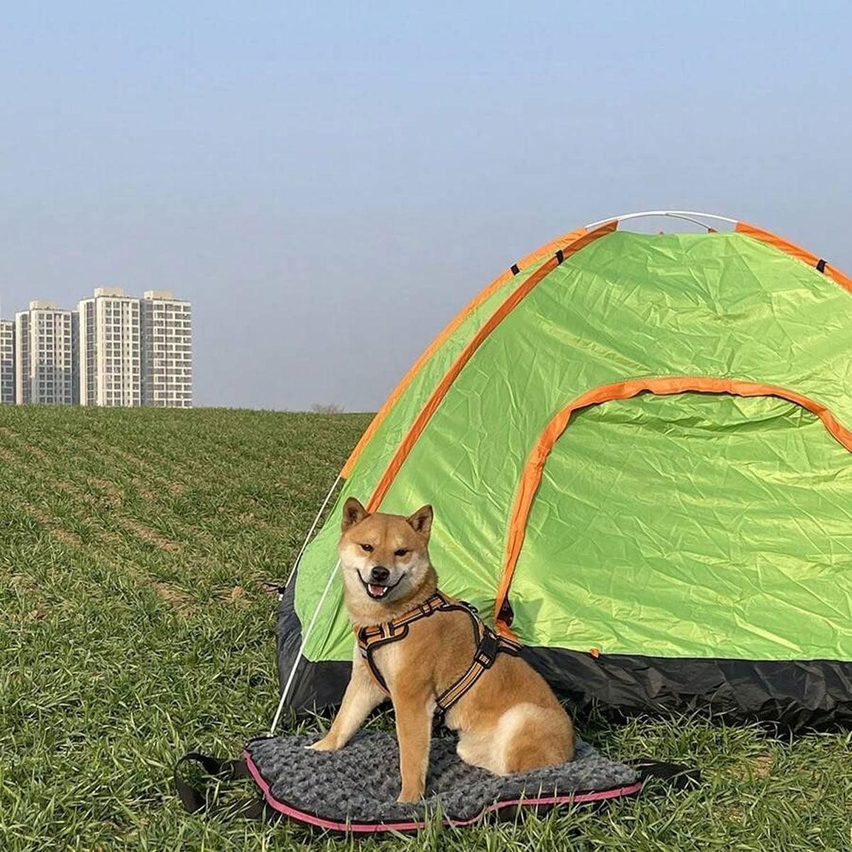 Portable Waterproof Dog Mat - Foldable Travel Bed with Zipper - Blue