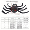 Premium Pet Spider Halloween Costume - Black L