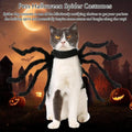 Premium Pet Spider Halloween Costume - Black L