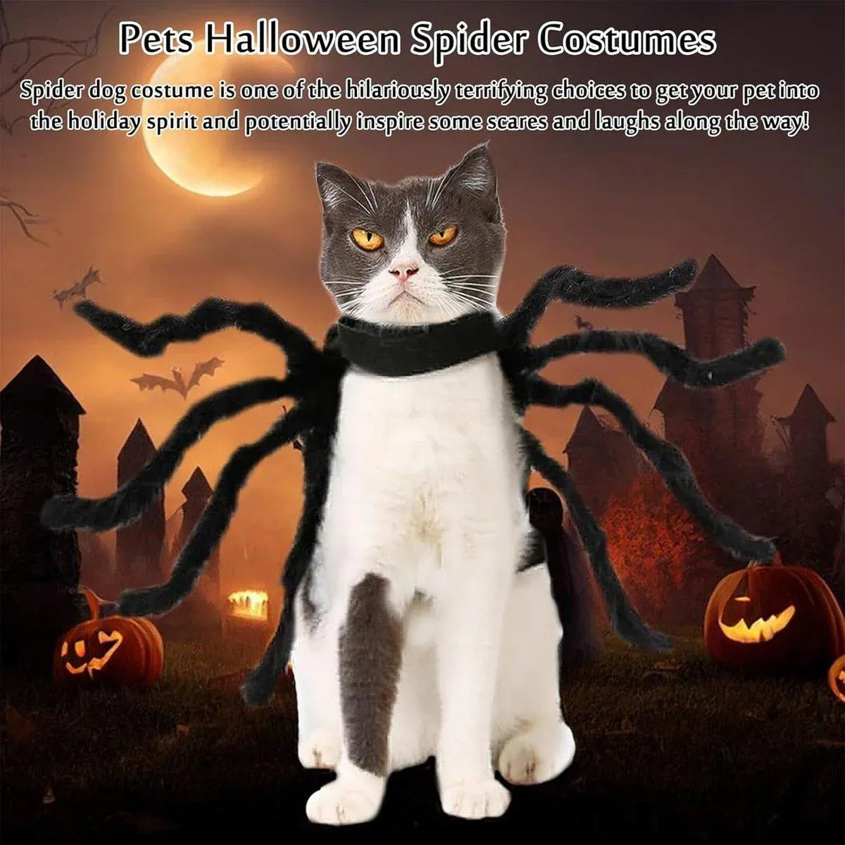 Premium Pet Spider Halloween Costume - Black L