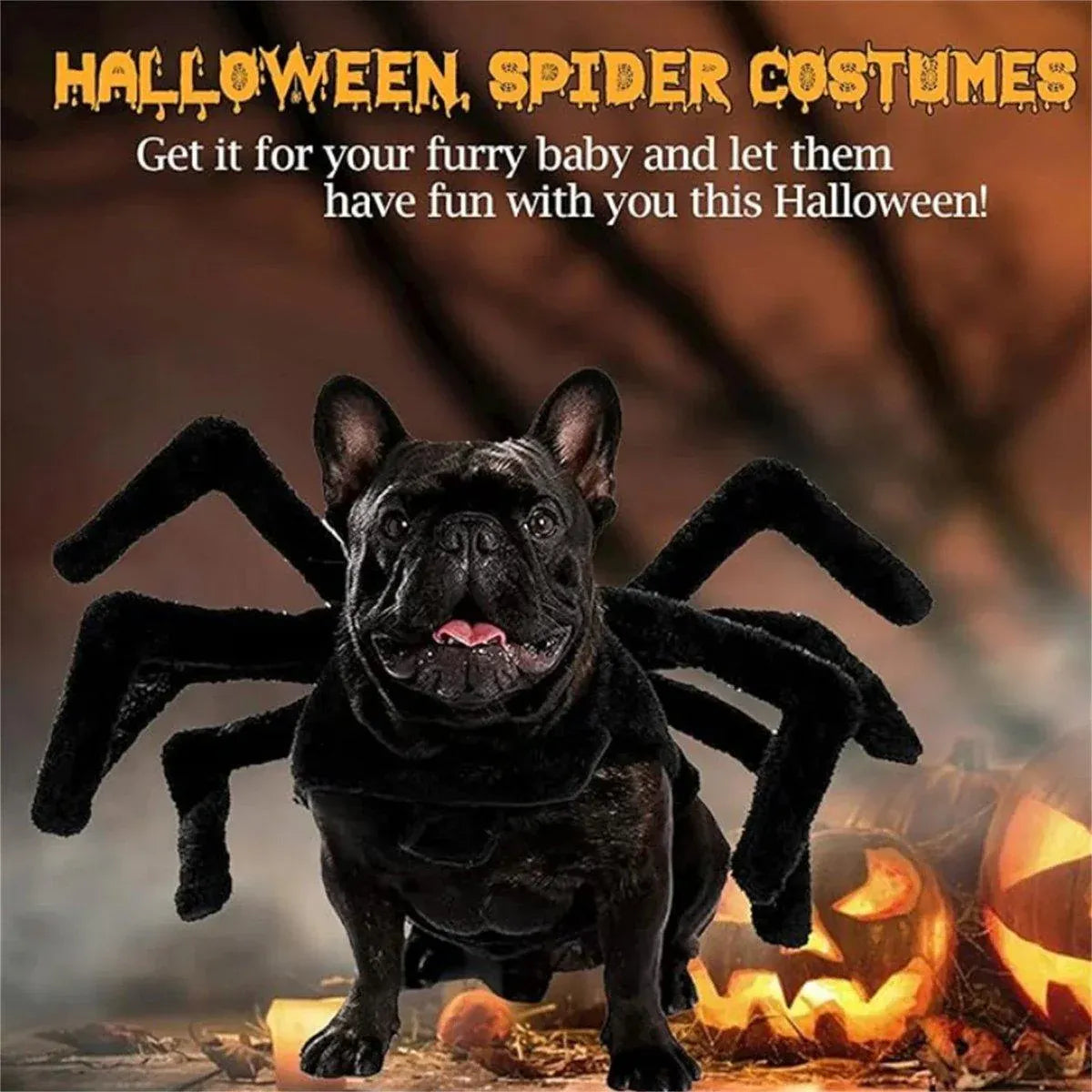 Premium Pet Spider Halloween Costume - Black L