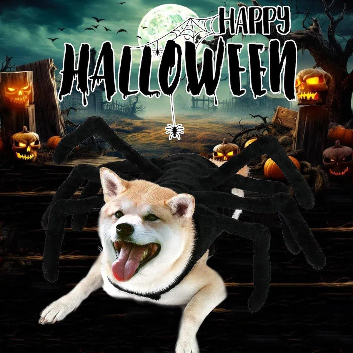Premium Pet Spider Halloween Costume - Black L