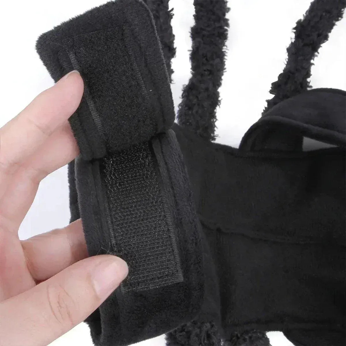 Premium Pet Spider Halloween Costume - Black L
