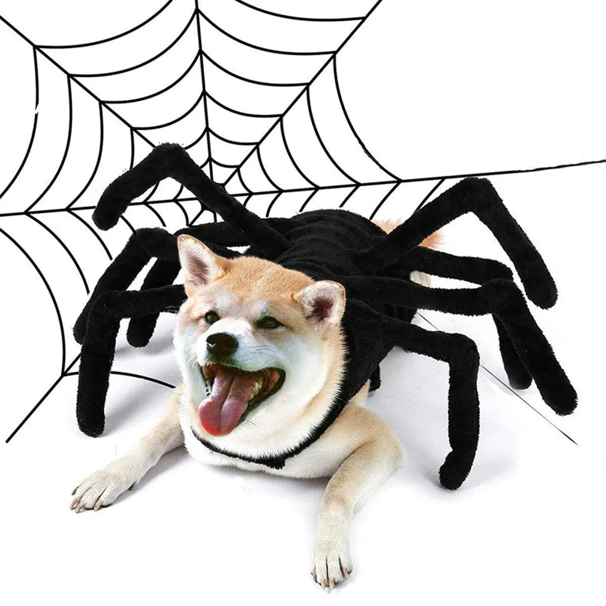 Premium Pet Spider Halloween Costume - Black L