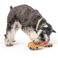 Premium Plush Wine Bottle Squeaky Dog Toy