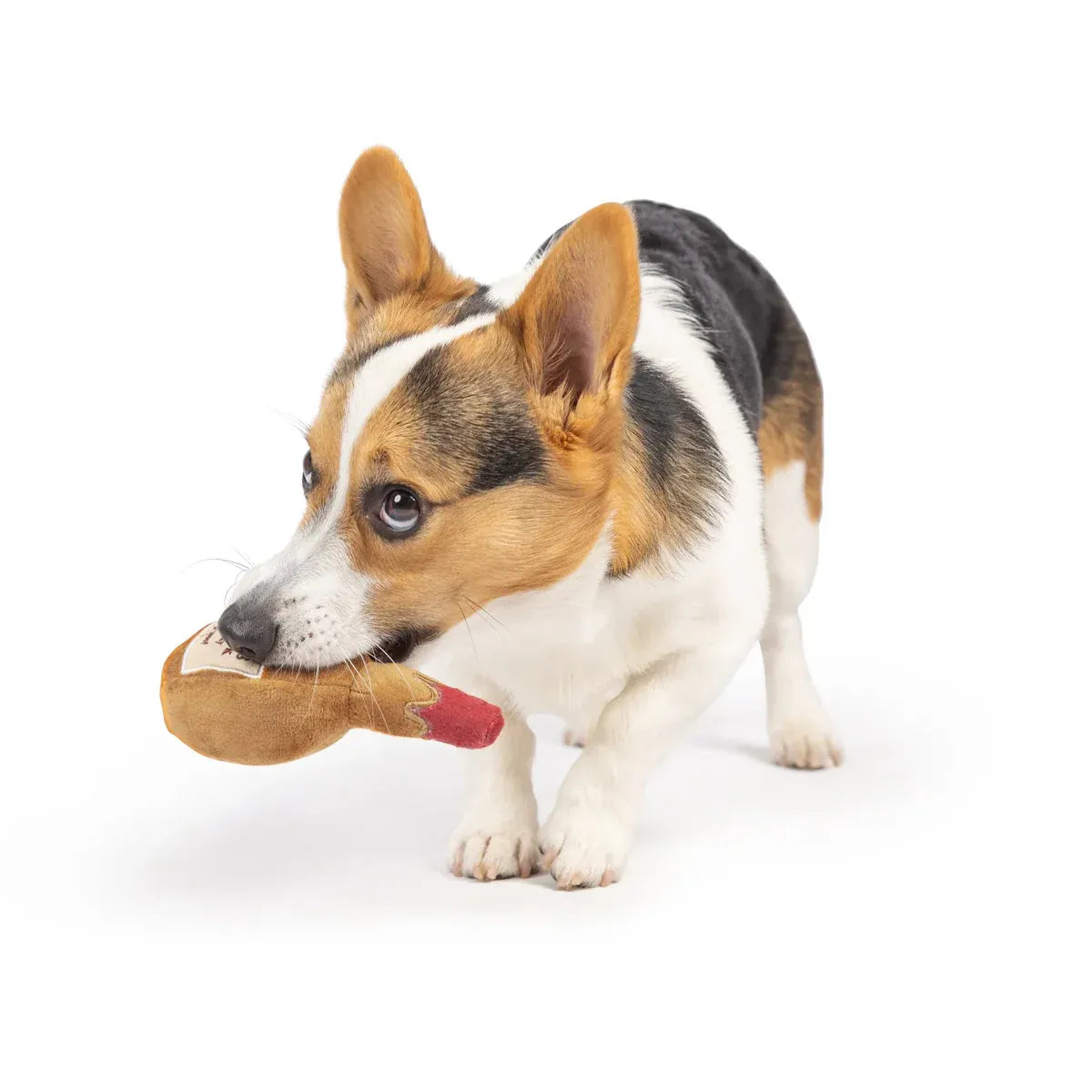 Premium Plush Wine Bottle Squeaky Dog Toy