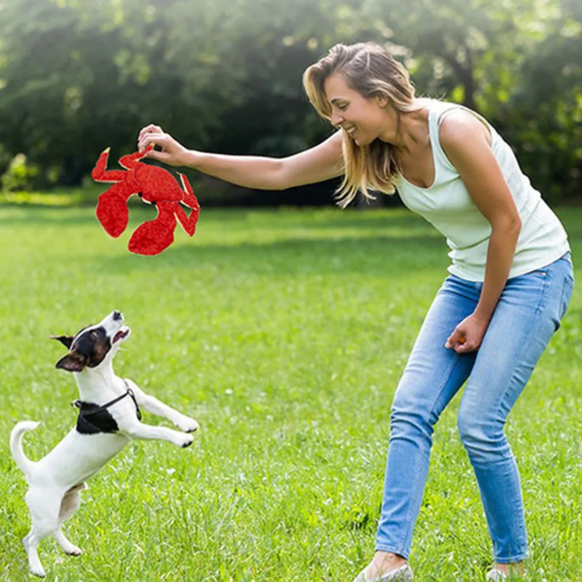 Premium Red Plush Crab Dog Toy with Reinforced Fabric