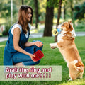 Premium Red Plush Ring Box Pet Toy for Dogs & Cats
