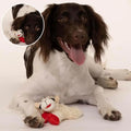 Premium Lamb Plush Squeaky Dog Toy for Small Dogs