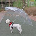 Premium Transparent Pet Umbrella with Built-In Leash - 30 Inch