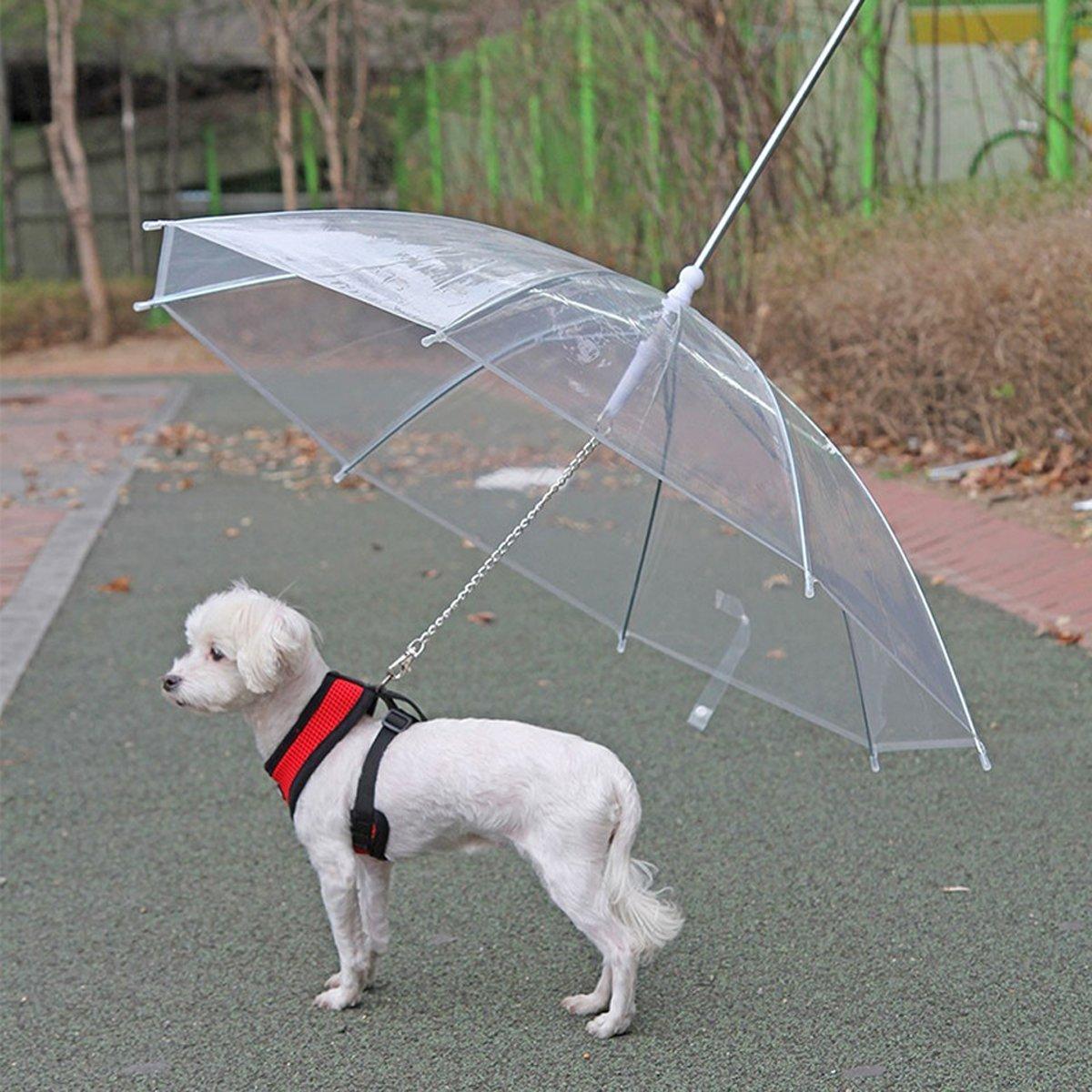 Premium Transparent Pet Umbrella with Built-In Leash - 30 Inch