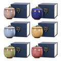 Premium Blue Ceramic Pet Keepsake Urn with Ice Crack Glaze & Storage Box