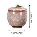Premium Blue Ceramic Pet Keepsake Urn with Ice Crack Glaze & Storage Box
