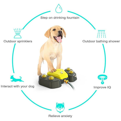 Automatic Water Dispenser & Bath Spray Toy for Dogs - Footstep Activated, Grey