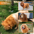 Premium Pet Lion Mane Wig Costume Adjustable - Light Brown L
