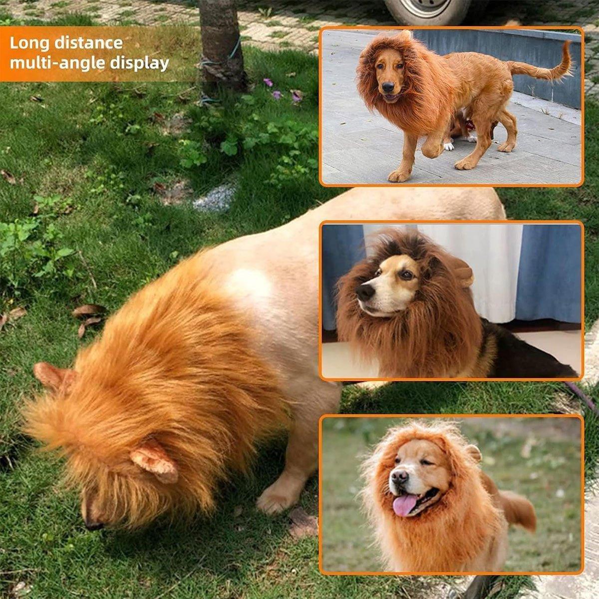 Premium Pet Lion Mane Wig Costume Adjustable - Light Brown L