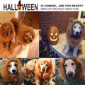 Premium Pet Lion Mane Wig Costume Adjustable - Light Brown L