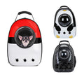 Transparent Space Dog Backpack Carrier for Small Pets - Waterproof, Comfortable, 1kg - SuperSaverAU - view 2