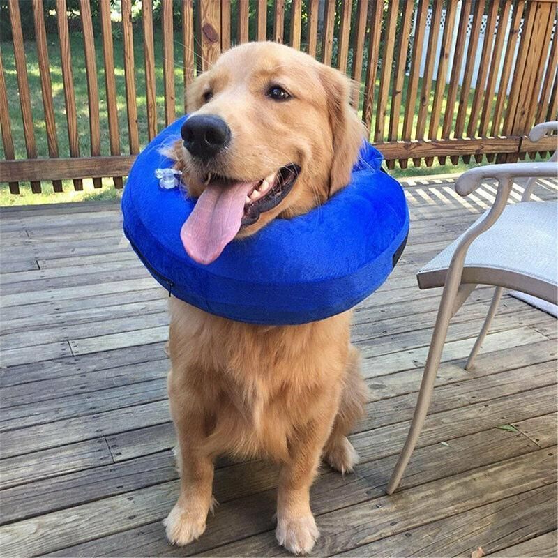 Premium Grey Inflatable Pet Recovery Collar for Dogs & Cats - S
