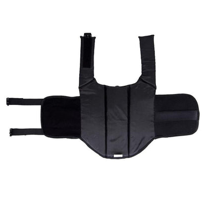 Dog Life Jacket Pet Swim Vest Floatation Aid for Boating, Water Activities, Green - L