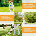 Premium Aimall Braided Rope Dog Toys Cotton & Rubber - 10 Pack