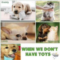 Premium Aimall Braided Rope Dog Toys Cotton & Rubber - 10 Pack