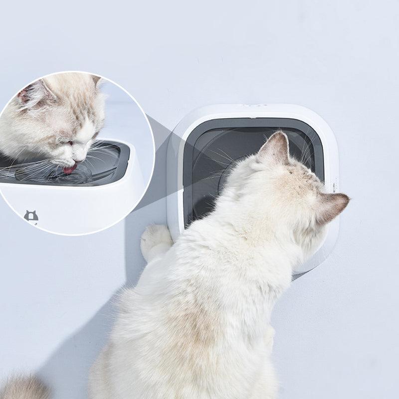 Auto Splash Free Pet Water Bowl 1.5L No-Spill Slow Drinking Feeder - White
