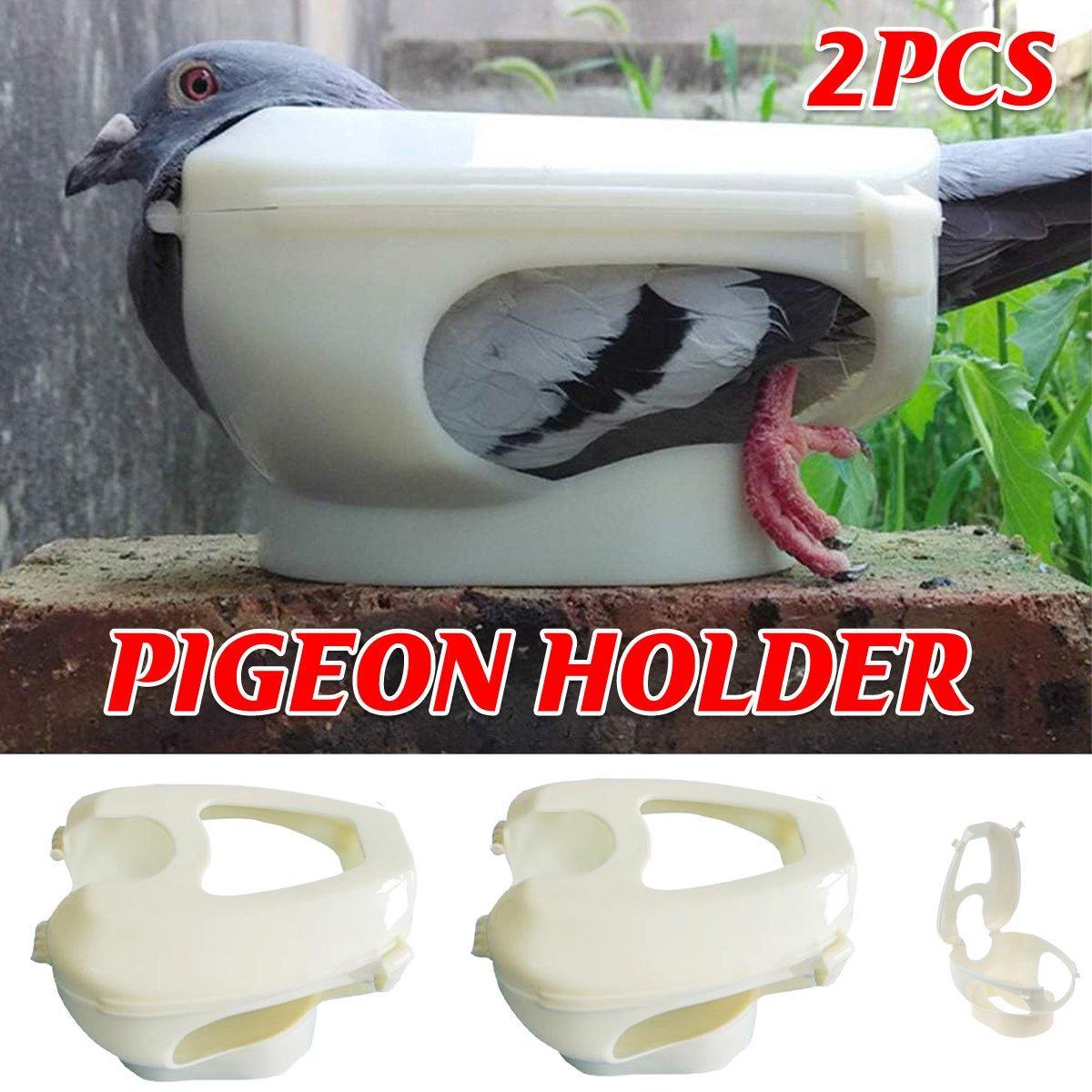 Premium Plastic Racing Pigeon Holder for Medicine Feeding - 2 Pack