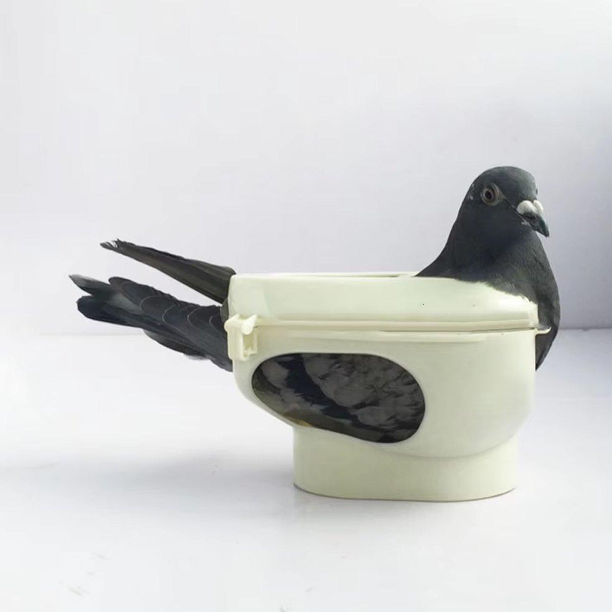 Premium Plastic Racing Pigeon Holder for Medicine Feeding - 2 Pack