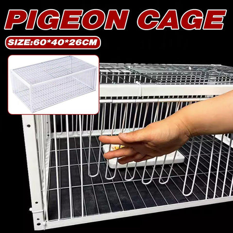 Premium White Metal Pigeon Cage for Indoor & Outdoor Use - 40 x 26 x 60cm