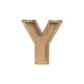 Premium Wooden Letter Y Piggy Bank – Walnut with Clear Panel