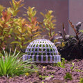 Premium Transparent Aquarium Moss Ball Holders - 3pcs