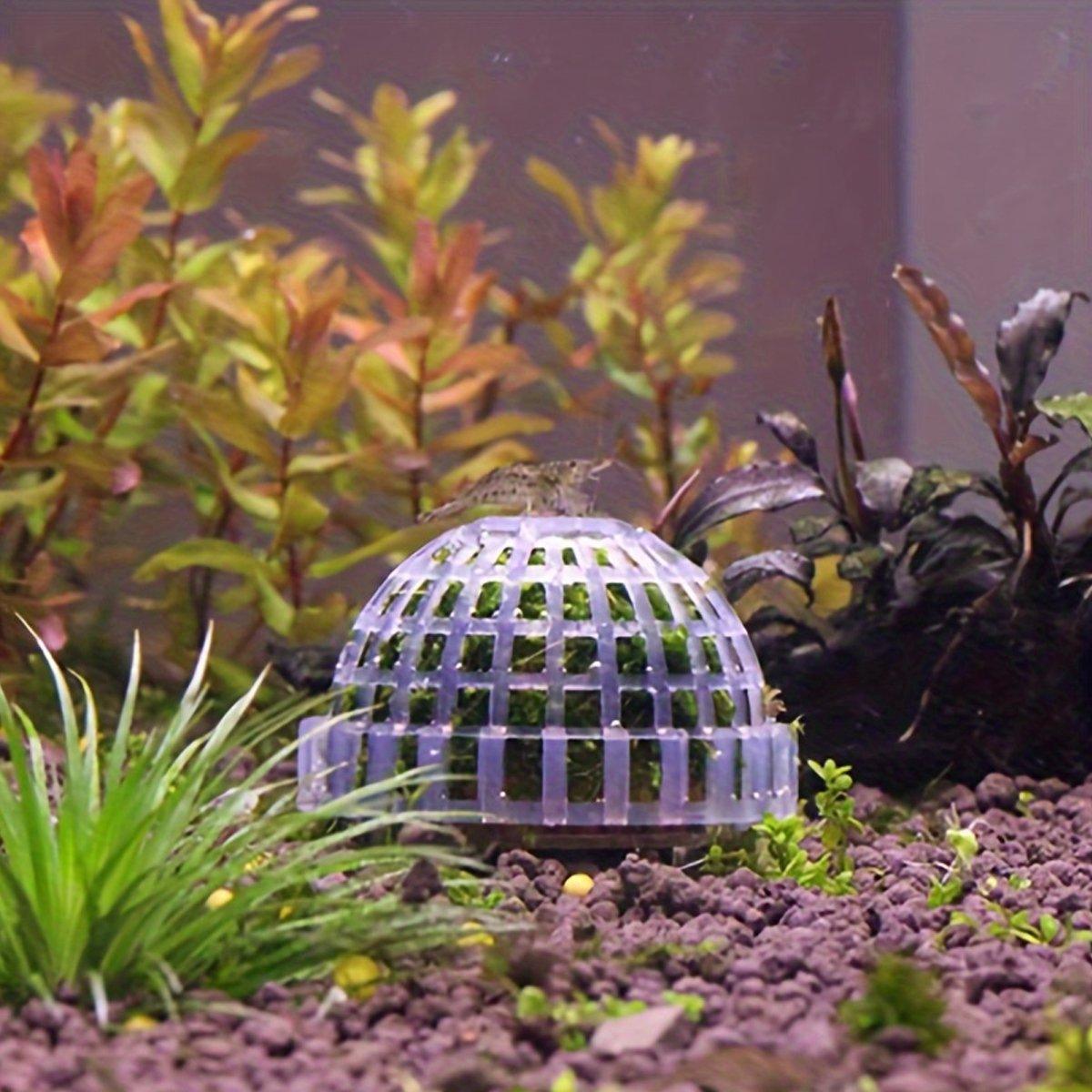Premium Transparent Aquarium Moss Ball Holders - 3pcs
