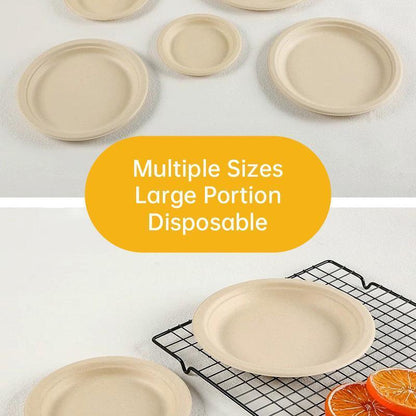 100x Biodegradable Sugarcane Paper Trays - Eco-Friendly & Durable for  Food - 9inches-100pcs